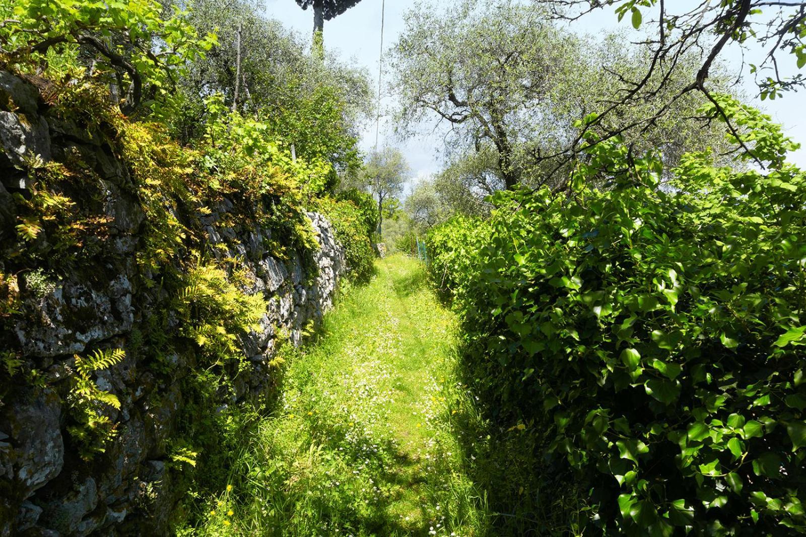 Gli Ulivi Sul Golfo E Le 5 Terre Daire La Spezia Dış mekan fotoğraf