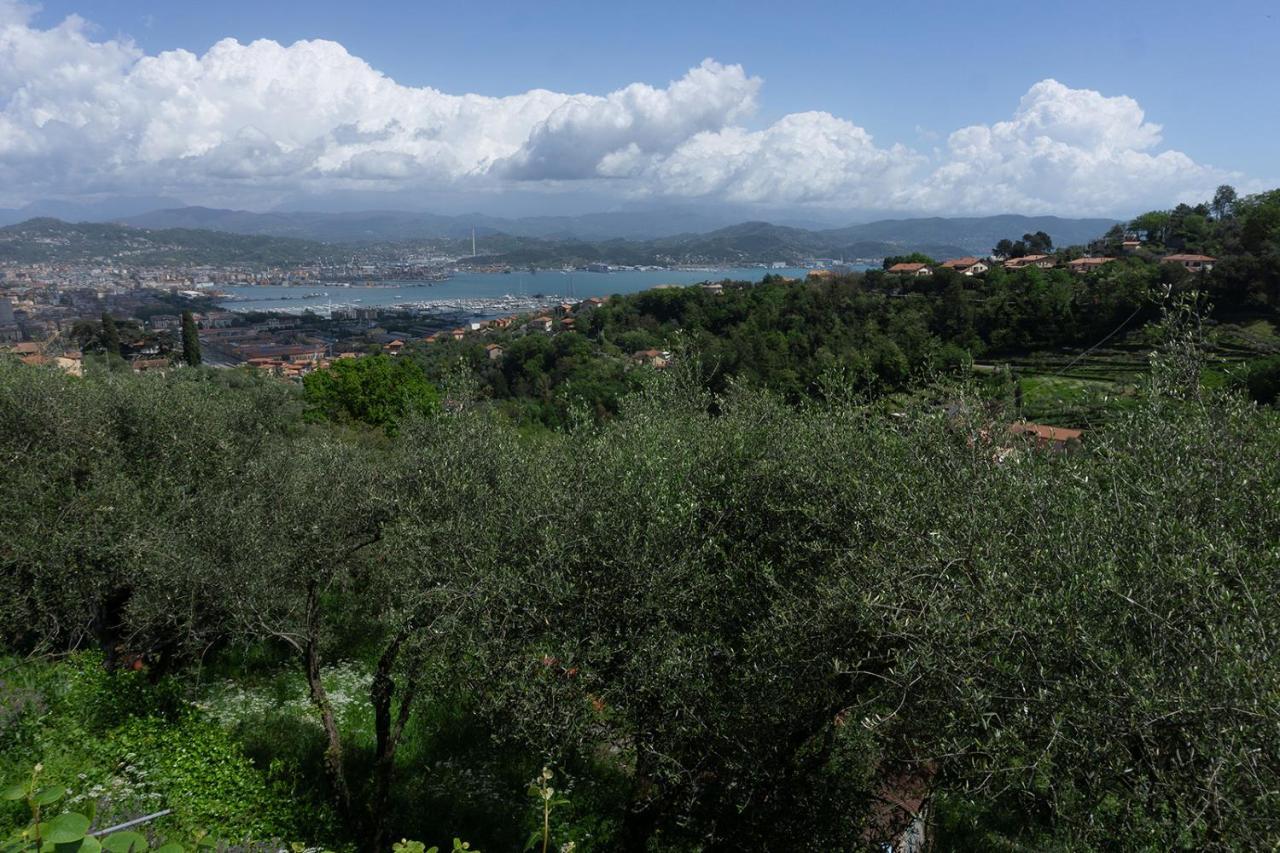 Gli Ulivi Sul Golfo E Le 5 Terre Daire La Spezia Dış mekan fotoğraf