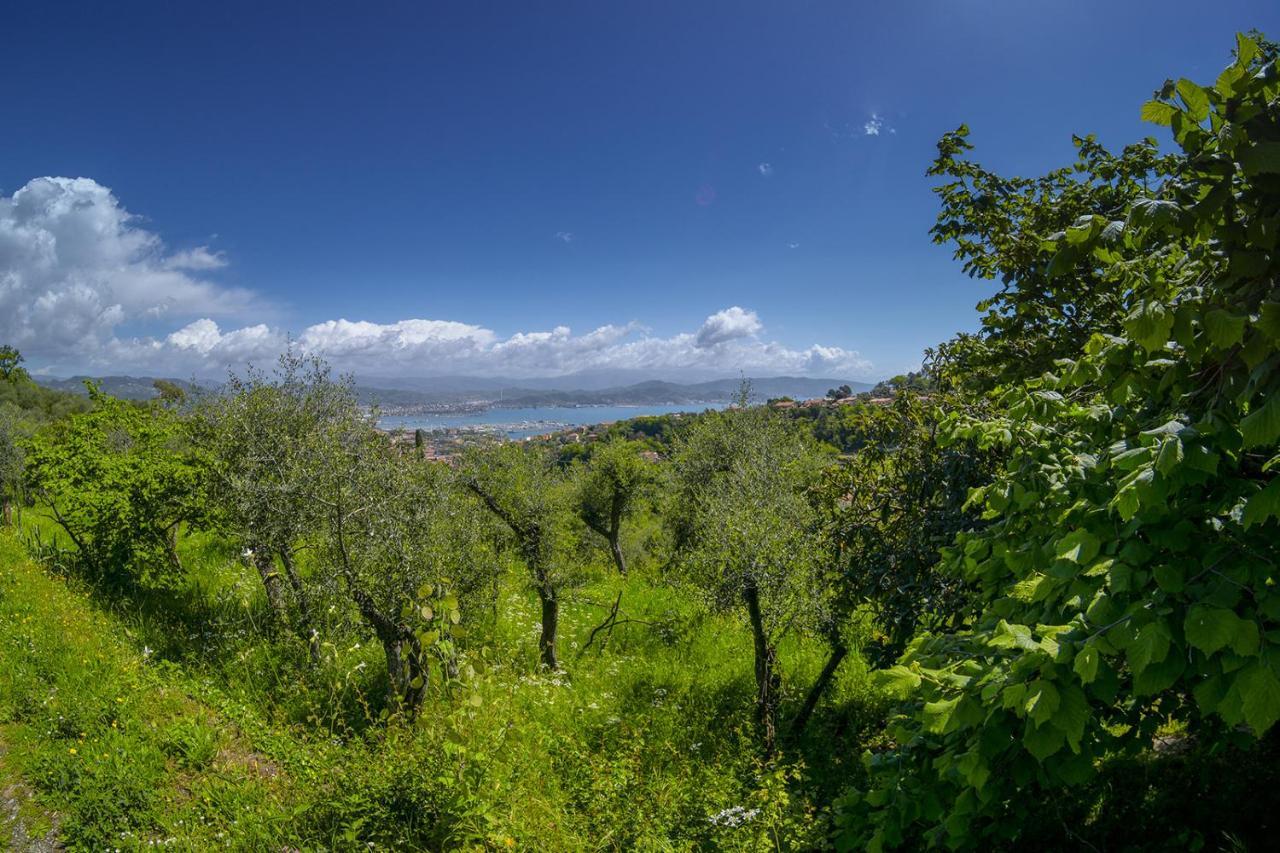 Gli Ulivi Sul Golfo E Le 5 Terre Daire La Spezia Dış mekan fotoğraf