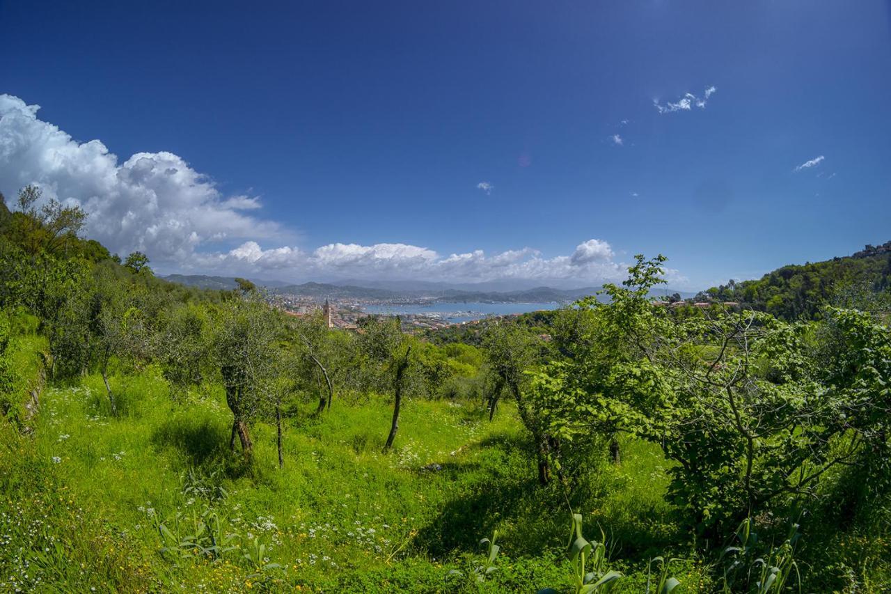 Gli Ulivi Sul Golfo E Le 5 Terre Daire La Spezia Dış mekan fotoğraf